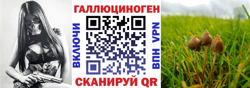 площадка как зайти  blacksprut ССЫЛКА  Новочебоксарск  Галлюциногенные грибы прущие грибы 